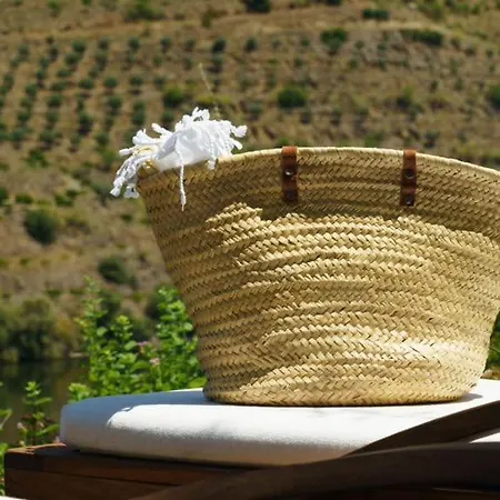 Farm stay Casa Do Rio - Douro Wine By Vallado